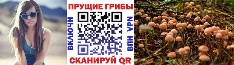 Псилоцибиновые грибы ЛСД наркошоп Тбилисская